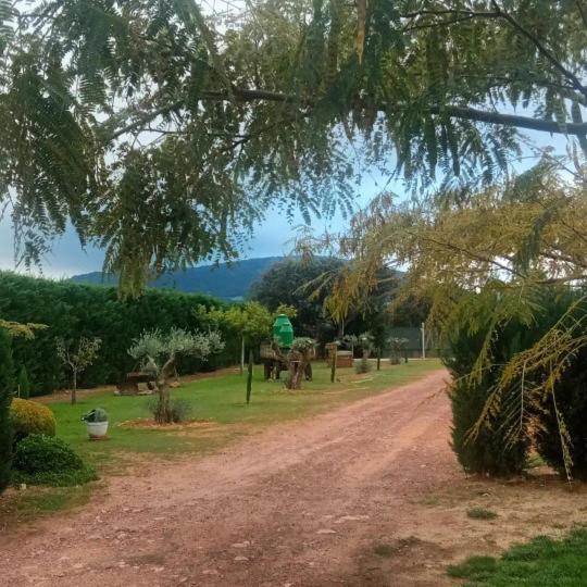 Pajaros Cerca De Puy Du Fou Toledo Séjour à la campagne