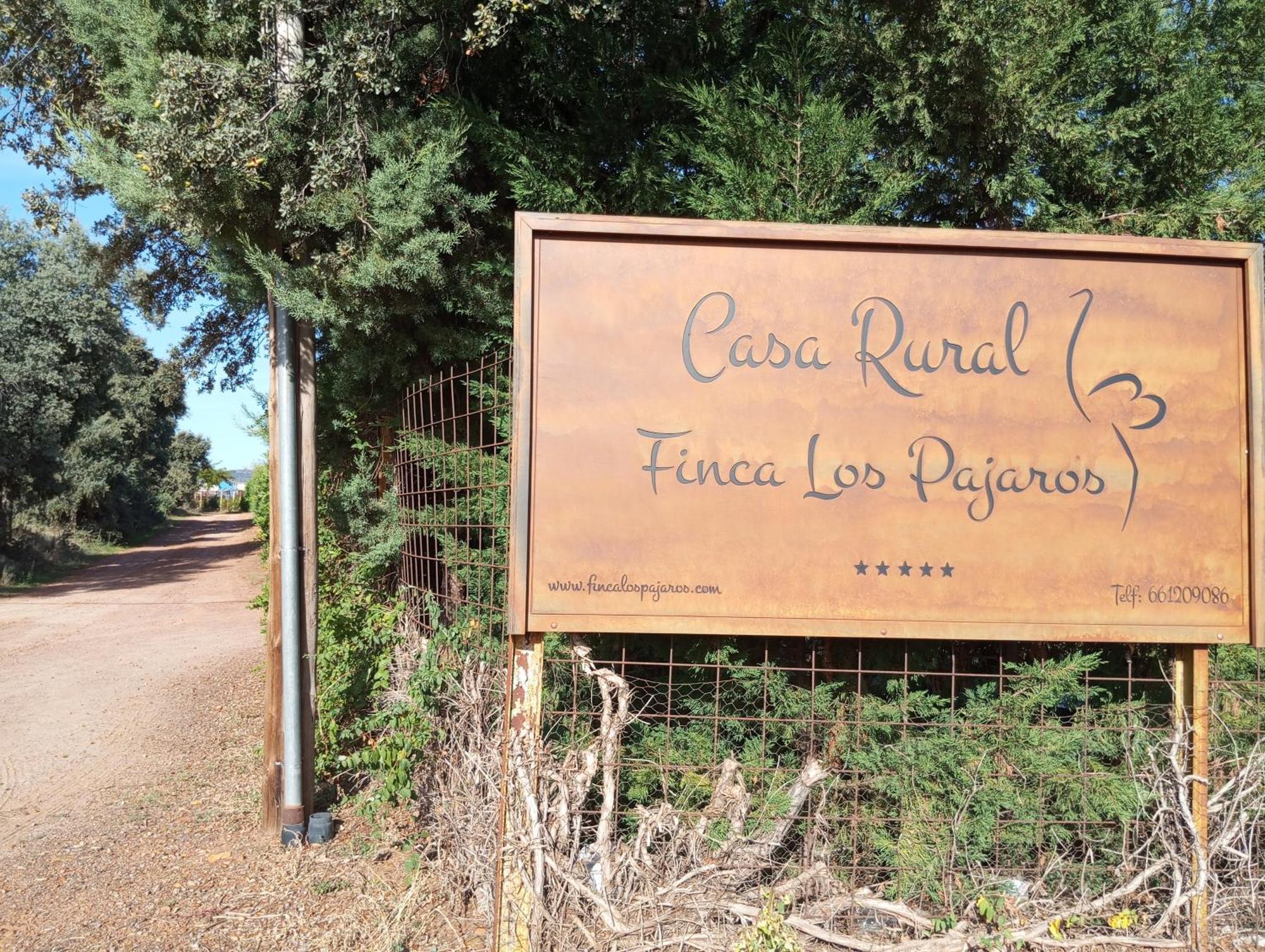 Pajaros Cerca De Puy Du Fou Toledo